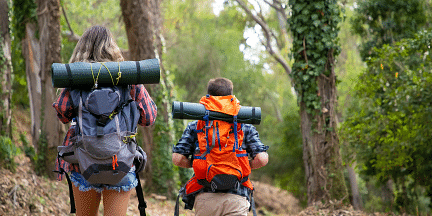 Forest hiking